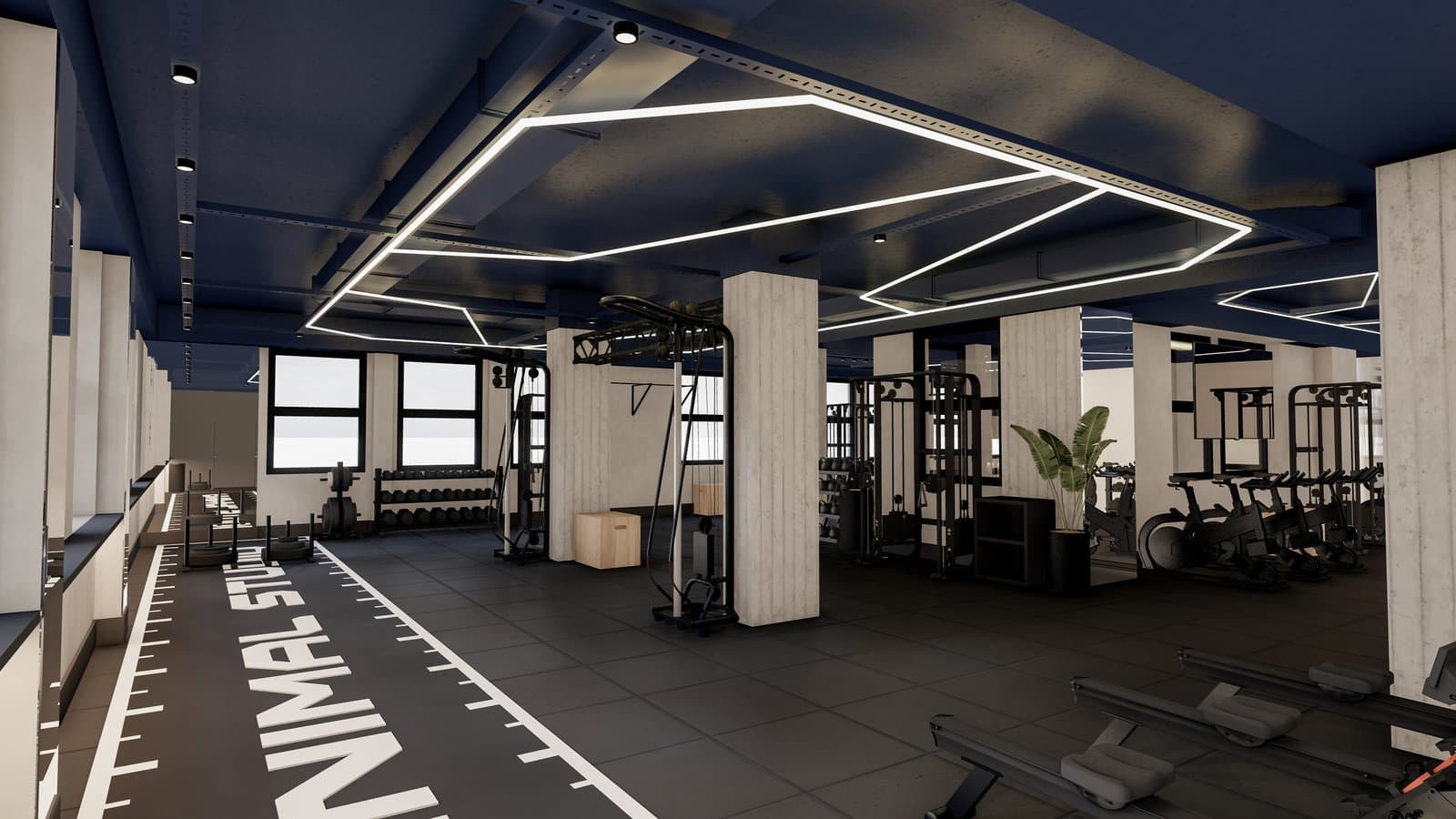 Piso de entrenamiento con branding Animal Studio
