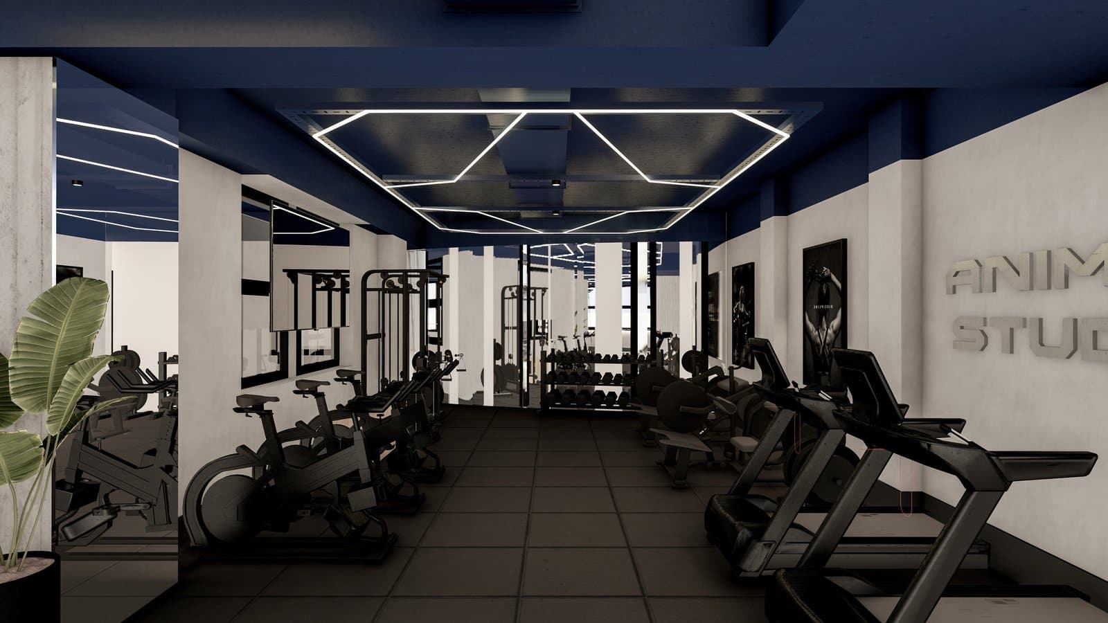 Sala de cardio Animal Studio